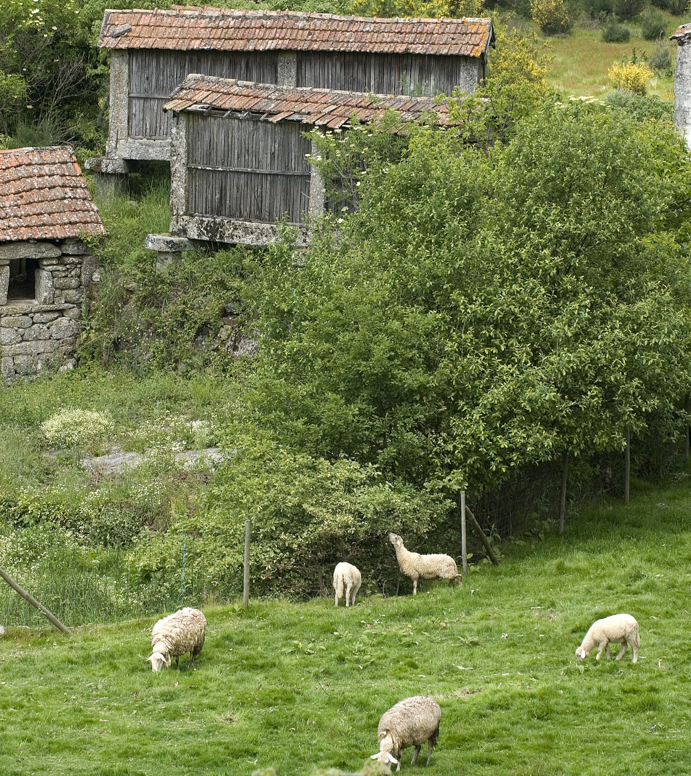 Câmara de Baião promove conversas da Agro Douro Verde