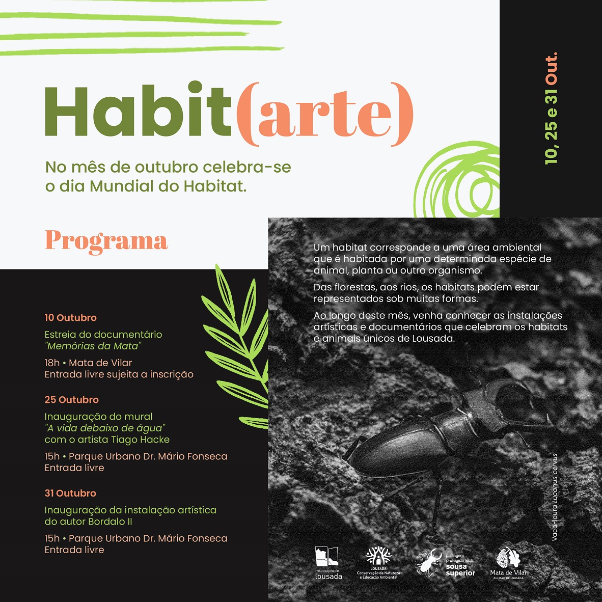 Habit arte (002)